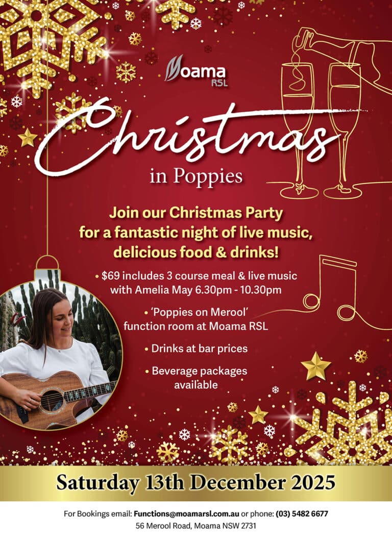 2025 Xmas Party Poster with Amelia FB